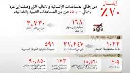 الخارجية: 70% من المساعدات الإنسانية...