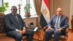 وزيرا الري المصري والسوداني يبحثان...