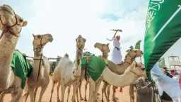 مهرجان الملك عبدالعزيز للإبل يطلق...