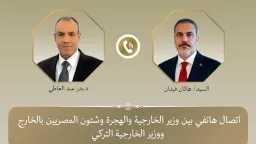 وزيرا خارجية مصر وتركيا يؤكدان...