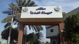 الصحة تعلن حصاد عام من...