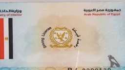 كل ما تحتاج معرفته عن...