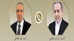 وزير الخارجية المصري يؤكد أهمية...