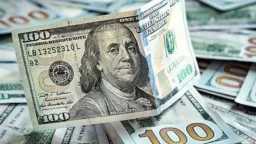 سعر الدولار اليوم في مصر...