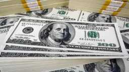 ارتفاع سعر الدولار مقابل الجنيه...