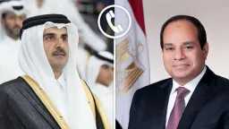 الرئيس السيسي يؤكد للأمير تميم...
