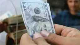 سعر الدولار مقابل الجنيه المصري...