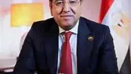 أيمن محسب يطالب بخطة عاجلة...