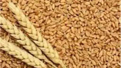 اقتصاد وبنوك