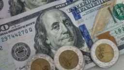 استقرار سعر الدولار مقابل الجنيه...