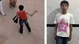القبض على عاطل ظهر في...