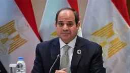 نائب: جولة الرئيس السيسي الخليجية...