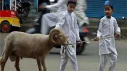 دار الإفتاء توضح وقت ذبح...