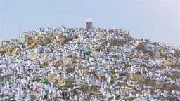 أمواج التلبية تملأ عرفات.. الحجاج...