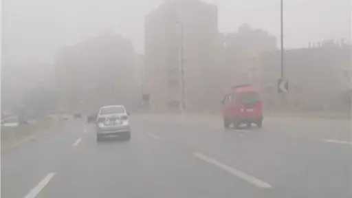 أخبار