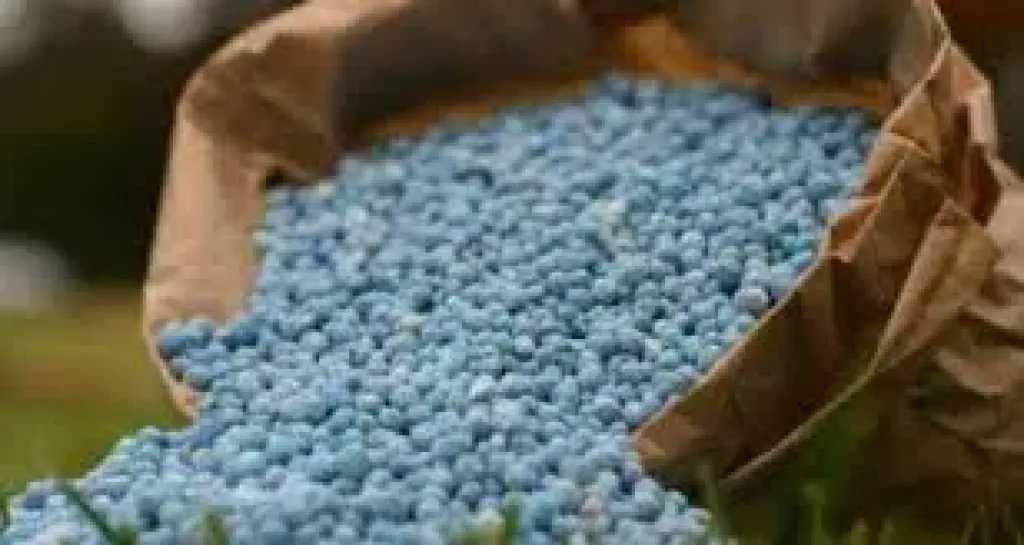 أخبار